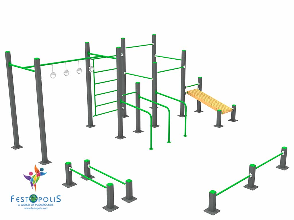 FEFT 9003 CALISTHENICS IRON