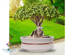 Fioriera Circolare ASTER