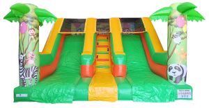 Doppio Scivolo Giungla